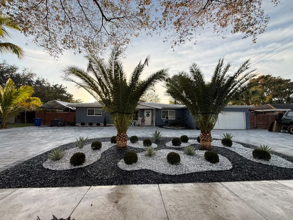 Miniplants Landscaping Palm Installation & Outdoor Transformation