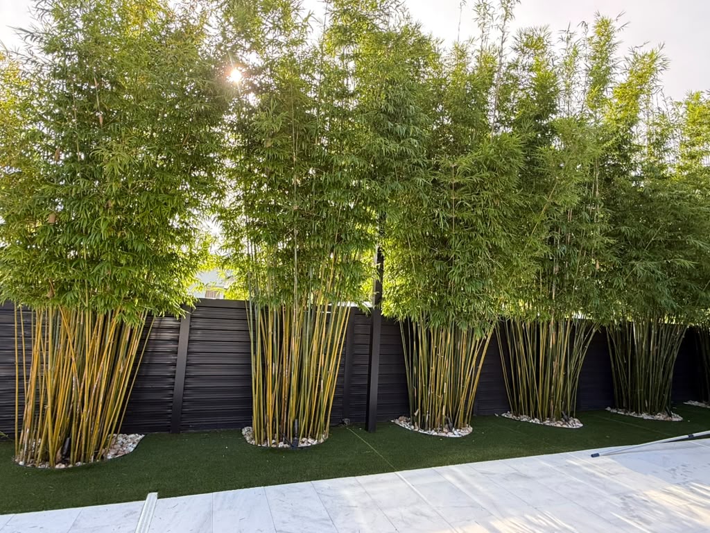 Miniplants Landscaping Luxury Outdoor Transformation